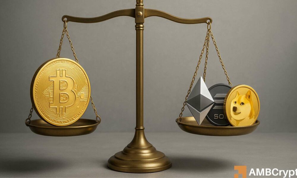 FET、AAVE、DOGE 推动着山寨币的崛起——预示着新的山寨币繁荣时代即将到来吗?