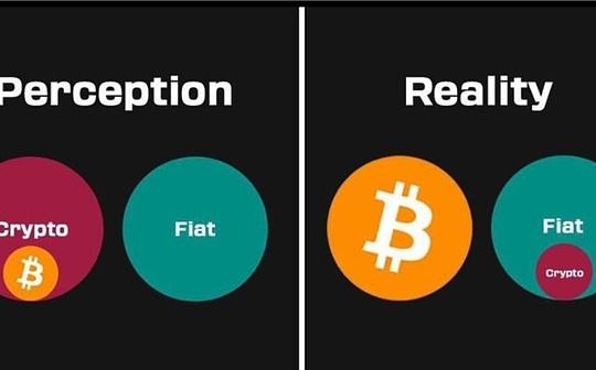 比特币走出自己的道路，与你所想的不同