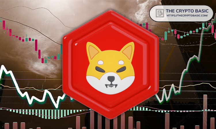 Developers Share the Path to Building SHIB on Base, Solana, and Other Blockchains with Shiba Inu