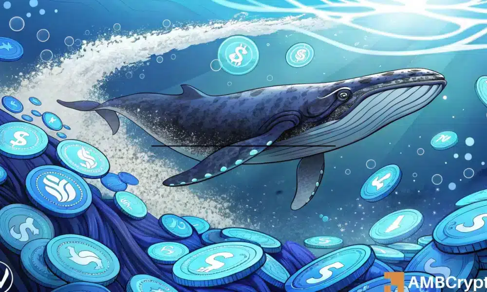 Worldcoin——鲸鱼买入他850万美元提供了WLD 1100美元的看涨基础