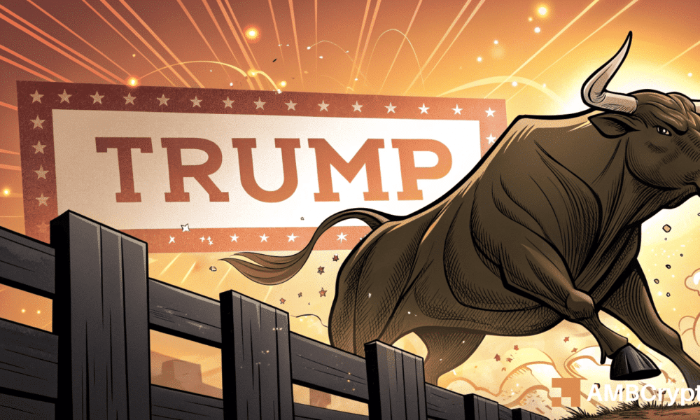 特朗普从8.18美元支撑位反弹 – 即将迎来突破？