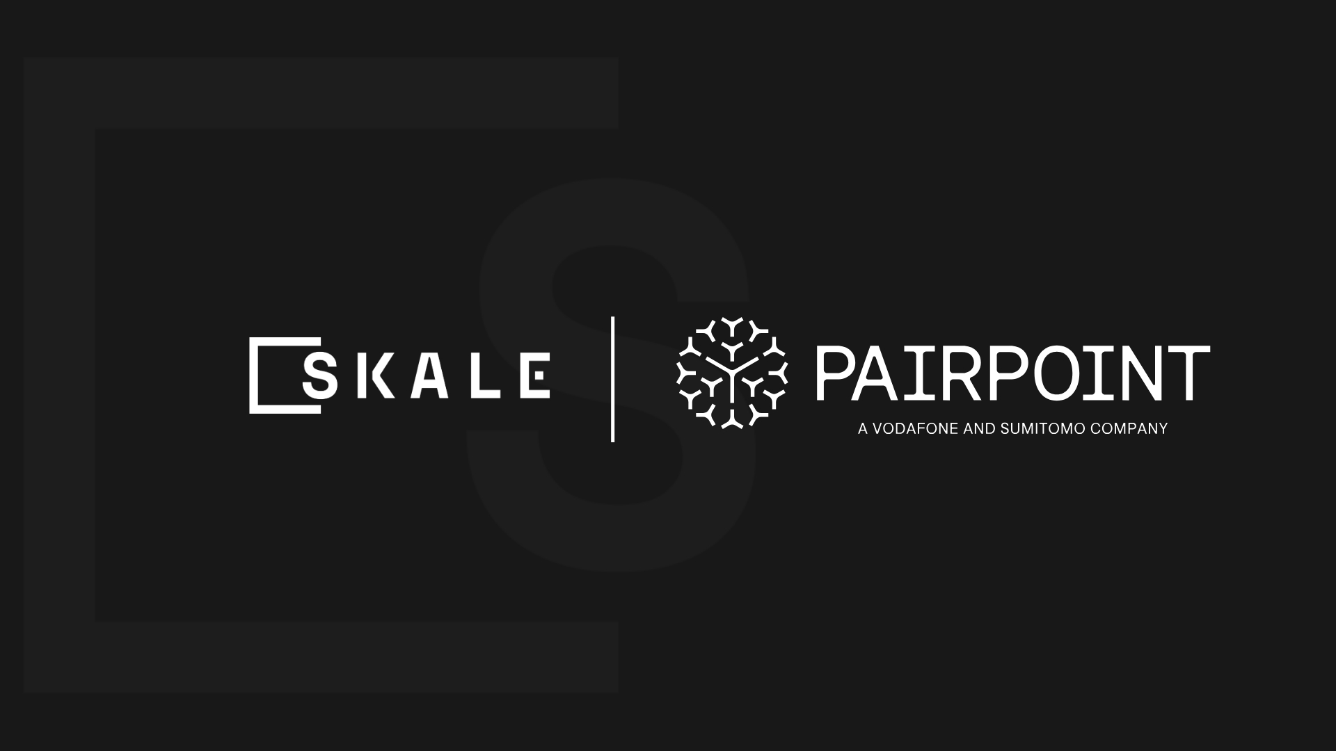 Vodafone-backed PairPoint doubles down on SKALE ecosystem, joins network as validator