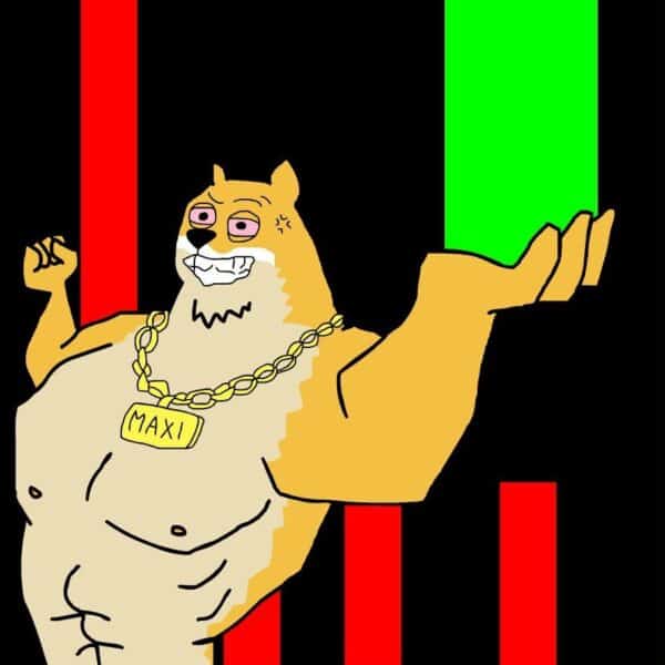 Meme Coins Rise Against the Dollar: MAXI Coin Raises .5 Million