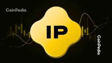 故事IP价格上涨，能否保持强劲势头？