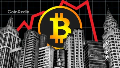 自由市场中的通货紧缩：比特币的证据