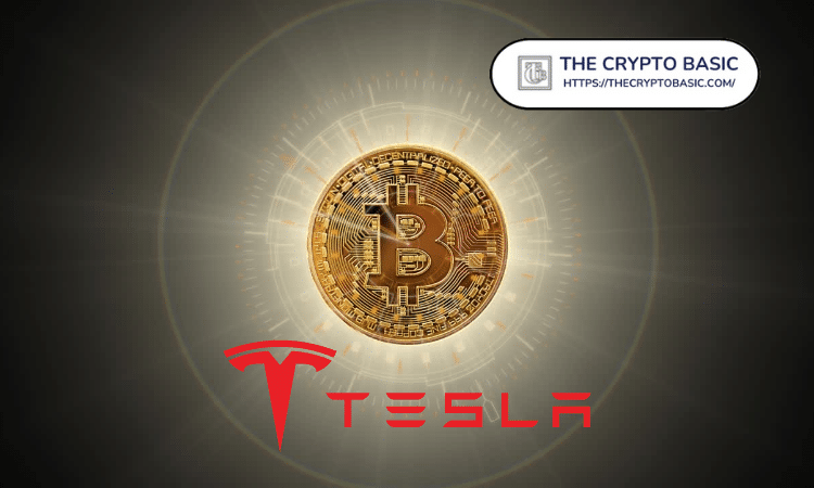 特斯拉预计到2025年第三季度比特币收益将达8000万美元